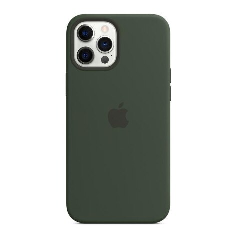 Capa de silicone com MagSafe para iPhone 12 Pro Max – Laranja-kinkan -  Apple (BR)